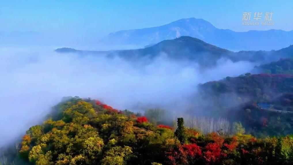 千城勝景｜河南汝州：雲海漫卷韻味濃