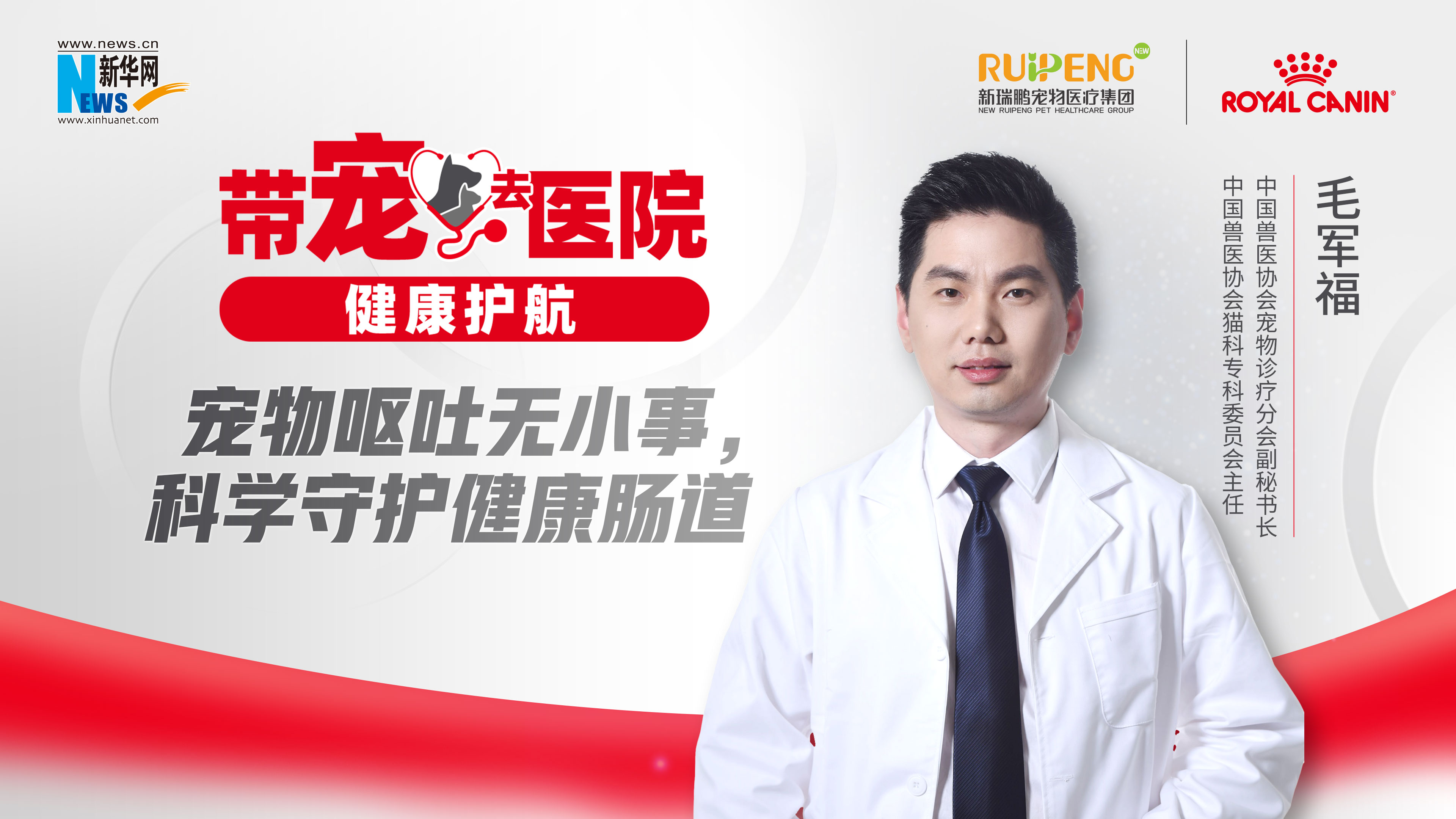 帶寵去醫院 健康護航｜寵物嘔吐無小事，科學守護健康腸道！